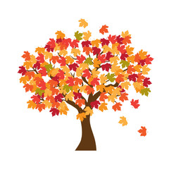 autumn tree vector