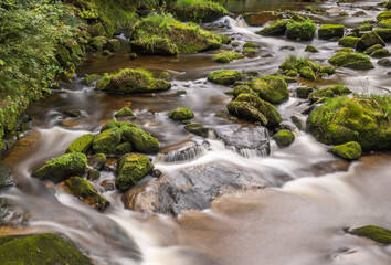 Fototapeta na wymiar boulders covered with moss in the river