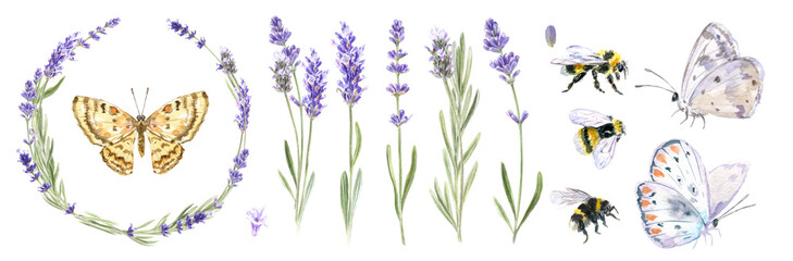 Watercolor illustration of lavender, lavender wreath, butterflies isolated on white background