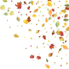 Leaves Falling Autumn Foliage Chaotic Leaf Flying