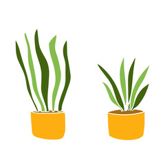 Collection of green plants in pot isolated on white background. Set realistic modern minimal design elements.