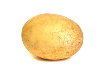 Young single potato isolated on white background.