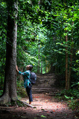 Naklejka na ściany i meble Woman with backpack exploring the beautiful rain forest on Sub madue Petchabun Thailand. Travel and ecotourism concept