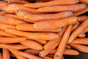 fresh organic carrot from farm close up from different angle