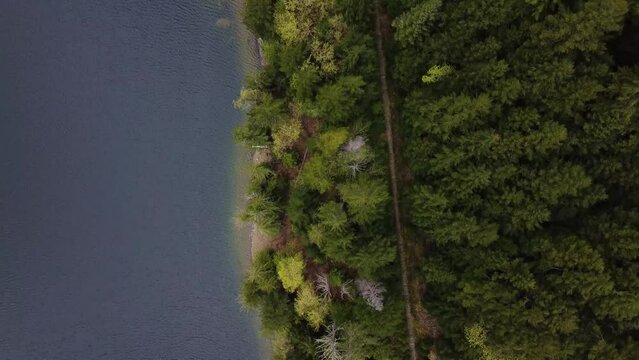 A bird's-eye drone video looking down at a forested area right next to a lake. Located in Parksville, Vancouver Island, Canada.