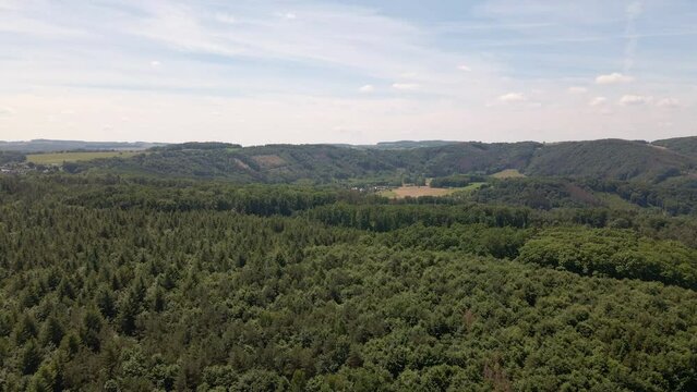 Expansive hills covered by mixed forests underneath a blue afternoon sky with few clouds.