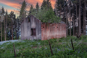 Landscape with abandoned house in the middle of the mountain forest