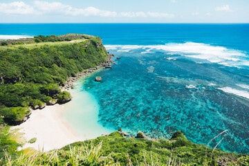 夏の沖縄の海と植物の景色