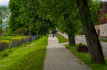 rustic streets in latvia in summer6