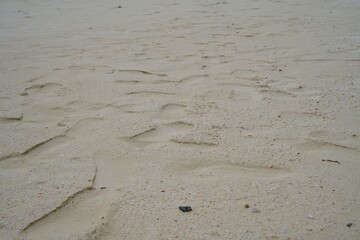 Numerous footprints on the beach