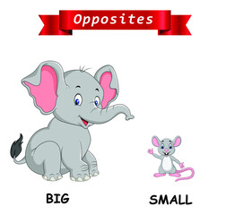 Opposite English words Big and Small