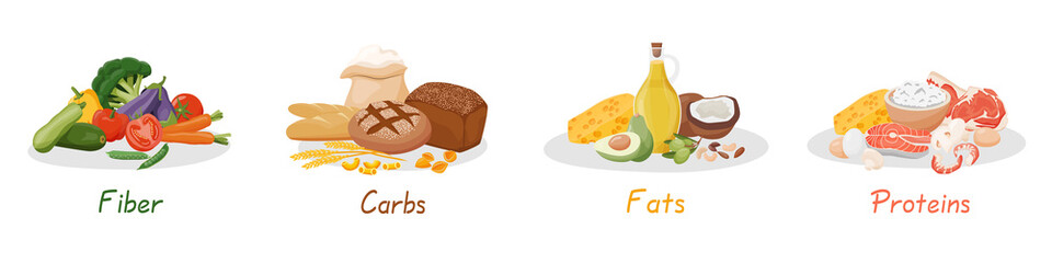 Set of healthy macronutrients. Fiber, proteins, fats and carbs presented by food products. Vector illustration of nutrition categories. Balanced nutrition. Healthy food - obrazy, fototapety, plakaty