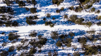 Viñedos y meseta castellano leonesa nevada