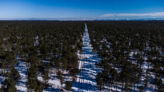 Vi&ntilde;edos y meseta castellano leonesa nevada