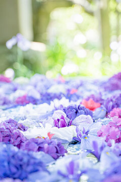 待ち受け Images Browse 2 286 Stock Photos Vectors And Video Adobe Stock