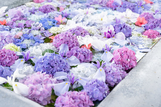 待ち受け Images Browse 2 0 Stock Photos Vectors And Video Adobe Stock