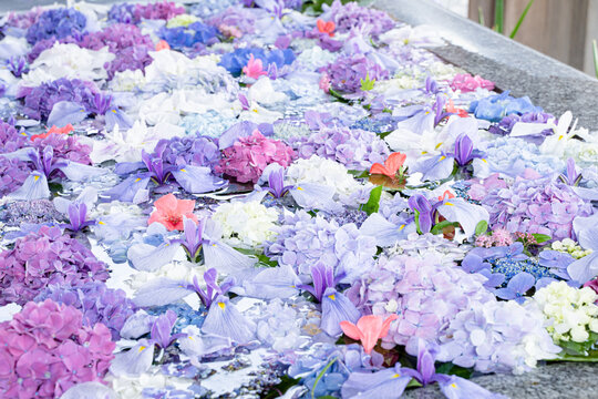 待ち受け Images Browse 2 0 Stock Photos Vectors And Video Adobe Stock