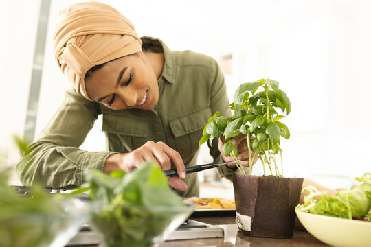 Biracial young woman in hijab cutting fresh basil leaves while preparing food in kitchen at home
