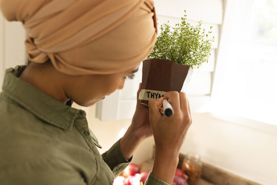 Biracial young woman in hijab labeling pot of thyme plant at home