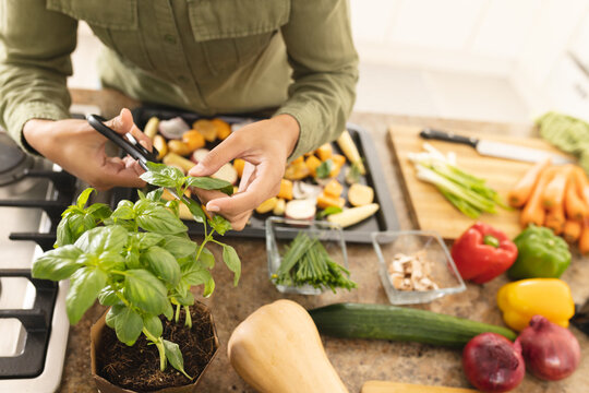 Midsection of biracial young woman cutting basil leaves while preparing food in kitchen at home