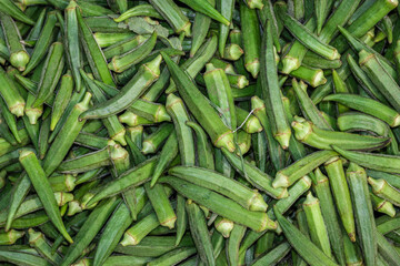 fresh organic ladyfinger from farm close up from different angle