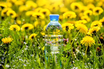 A bottle of drinking water is among dandelions
