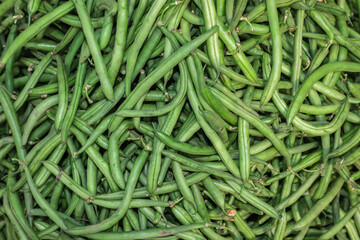fresh organic green beans from farm close up from different angle
