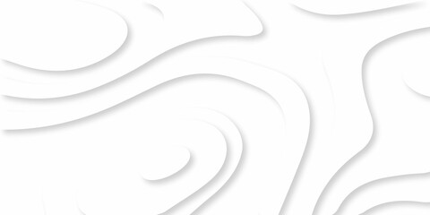 Luxury paper cut background, Abstract decoration, white pattern, halftone gradients, 3d Vector illustration, topographic canyon map light relief texture, curved layers and shadow.