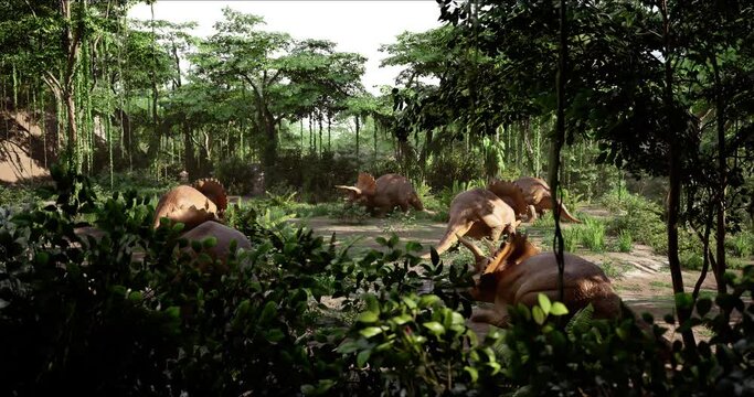 A herd of Triceratops peacefully grazing in a jungle meadow. Jurassic dinosaurs. 3d rendering