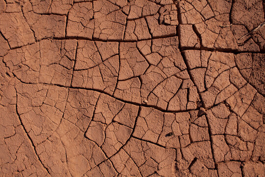 Terra background