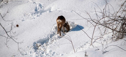 Appennino Tosco Emiliano