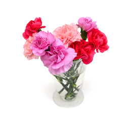Stack Carnation flowers on white background