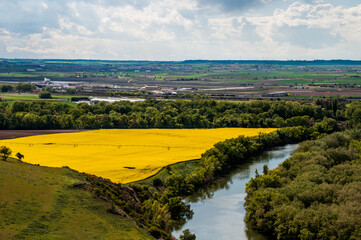 Campos de colza desde la provincia de VALLADOLID