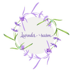 Lavander flower in a watercolor style isolated. Vector illustration