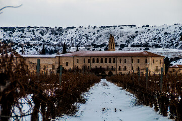 Viñedos de Ribera del Duero bajo manto blanco 