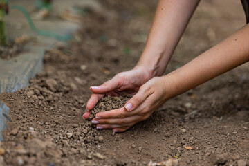 Hand holding fertile soil for plant to growing in nature concept. Farmer woman hand holding soil background and copy space, Concept of Agriculture, gardening, Save World, Earth day