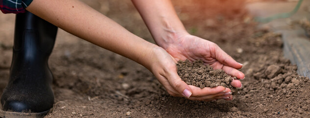 Close up of the hand of a woman holding a handful of rich fertile soil that has been newly dug over or tilled in a concept of conservation of nature and agriculture or gardening.