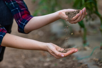 Young adult woman palms holding pile of dark brown dry soil. Care about environment or agriculture. Closeup. Woman with handful of soil outdoors, top view. Space for text