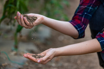 Agriculture, organic gardening, planting or ecology concept. Dirty woman hands holding moist soil. Environmental, earth day. Top view. Copy space. Farmer checking before sowing.