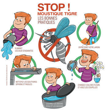 Illustration des mesures a adopter pour &eacute;viter la prolif&eacute;ration du moustique tigre. Infographie. 