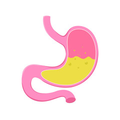 Stomach icon. Human internal organs symbol. Digestive system anatomy. Vector illustration on white background