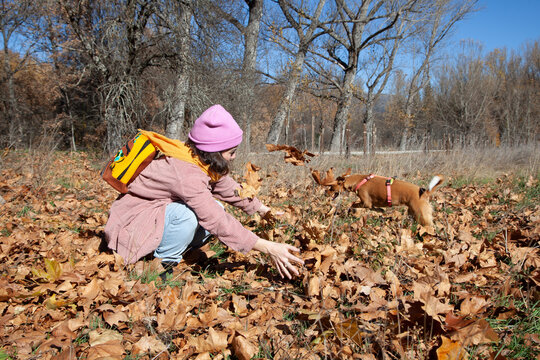 Mujer alegre lanzando hojas de otoño en el aire. Perro saltando en el aire. Mujer con su perro jugando en un campo otoñal.