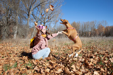 Mujer alegre lanzando hojas de otoño en el aire. Perro saltando en el aire. Mujer con su perro jugando en un campo otoñal.