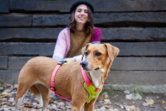 Mujer con perro en frente de una caba&ntilde;a en el bosque. Chica con su perro de excursi&oacute;n. Primer plano perro