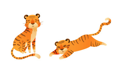 Cute tigers set. Wild jungle predator animal sitting and lying cartoon vector illustration