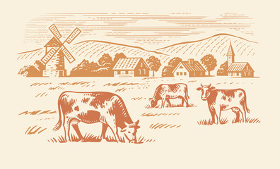 Cows grazing on meadow. Hand drawn sketch livestock with grass and plants