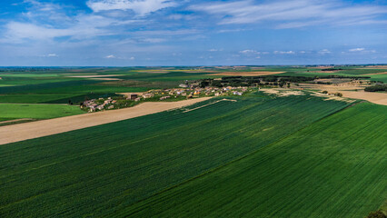 Naklejka premium VILLAMAYOR DE CAMPOS y sus PALOMARES a vista de pájaro
