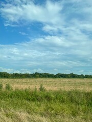 another day in the life