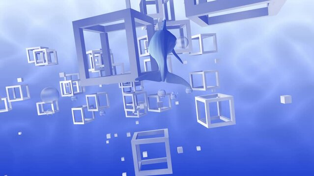 Dolphin swimming in digital space.