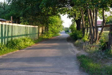 Summer rural landscape